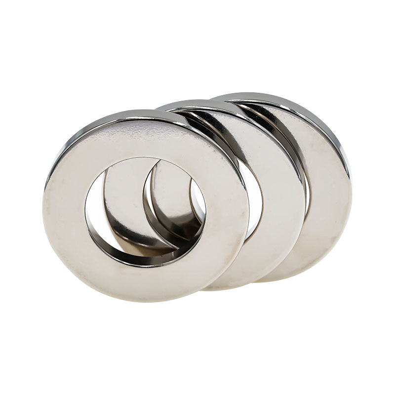 Sylinder/ring permanent magnet 5